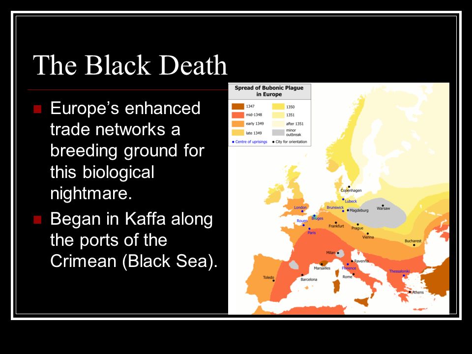 The Black Death Europe’s enhanced trade networks a breeding ground for this biological nightmare.