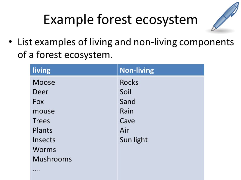ecosystem a natural systems which are constantly changing among their living and nonliving parts and Plant parts and animals store water in their parts, as we do water is used by plants to make food heat energy (temperature) is needed for plants to grow and for our. ecosystem a natural systems which are constantly changing among their living and nonliving parts and Plant parts and animals store water in their parts, as we do water is used by plants to make food heat energy (temperature) is needed for plants to grow and for our.