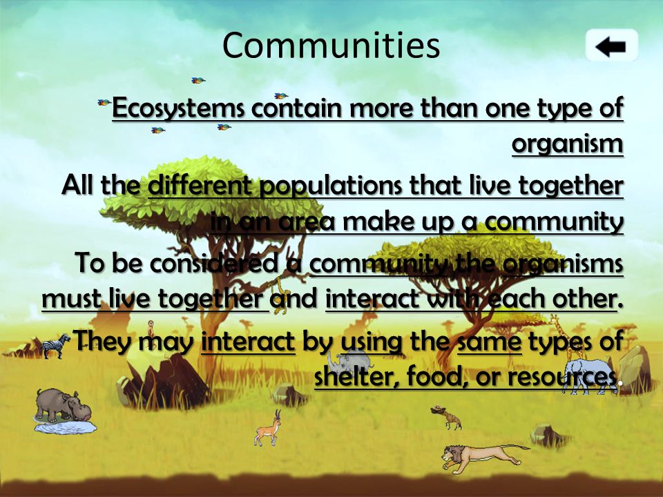 Communities Ecosystems contain more than one type of organism All the different populations that live together in an area make up a community To be considered a community the organisms must live together and interact with each other.
