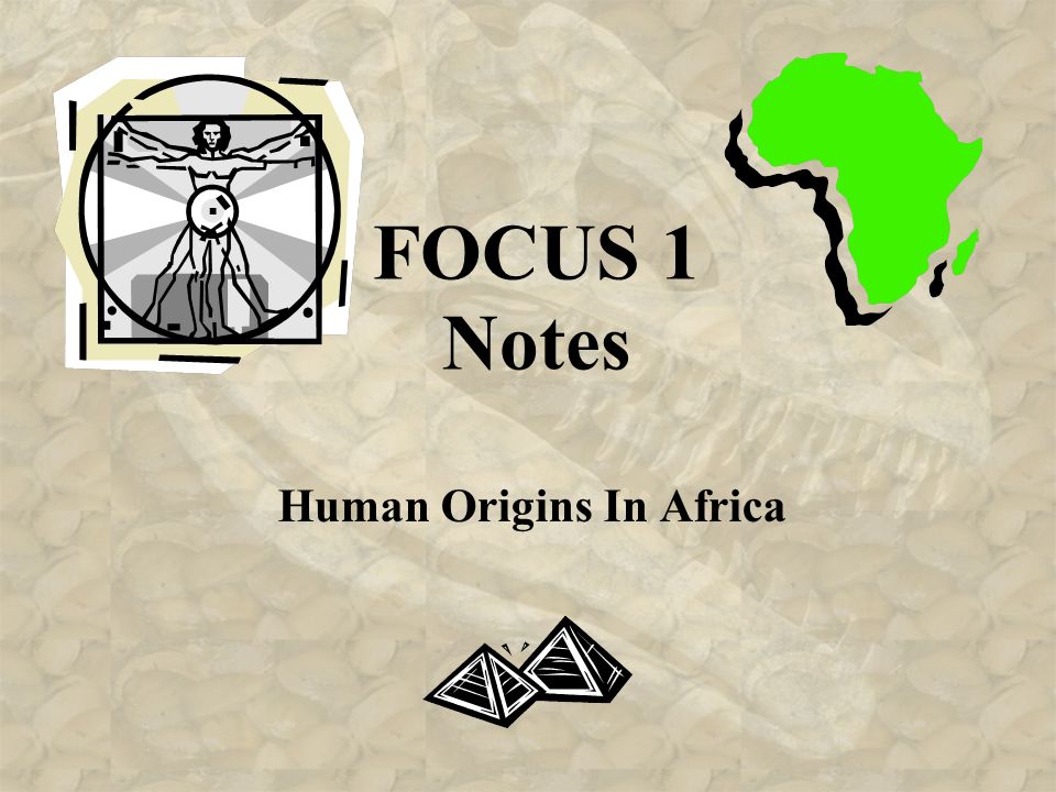 FOCUS 1 Notes Human Origins In Africa