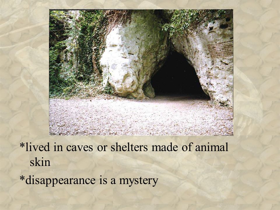 *lived in caves or shelters made of animal skin *disappearance is a mystery