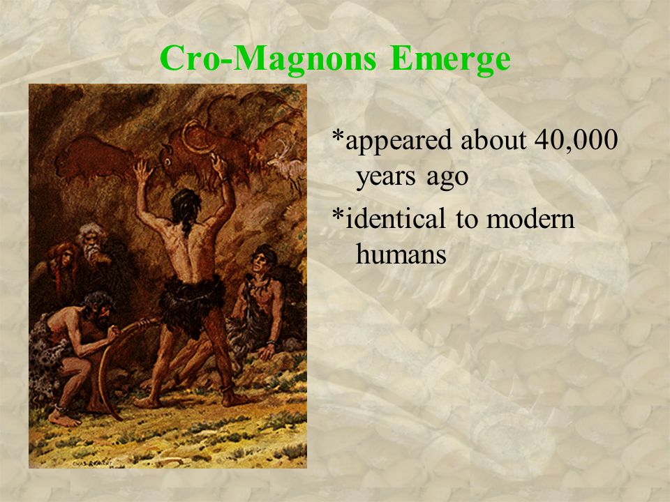 Cro-Magnons Emerge *appeared about 40,000 years ago *identical to modern humans