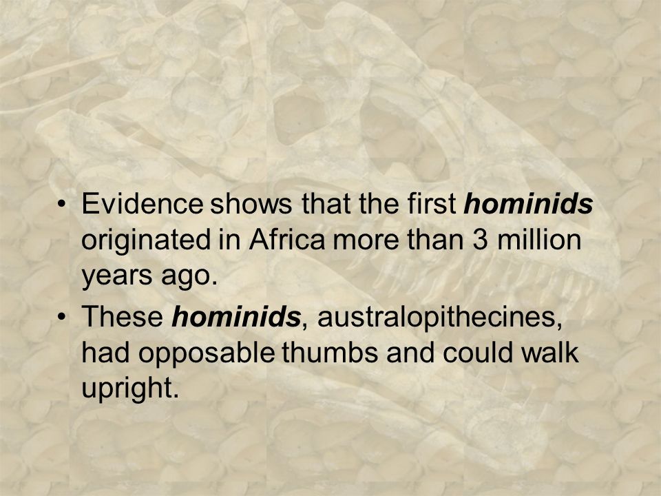 Evidence shows that the first hominids originated in Africa more than 3 million years ago.