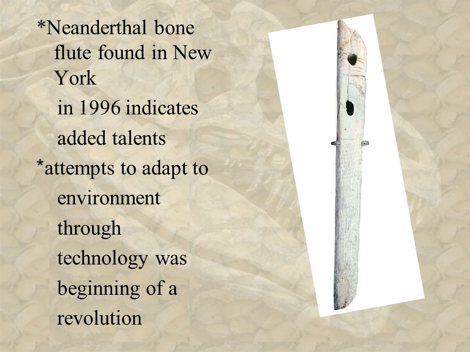 *Neanderthal bone flute found in New York in 1996 indicates added talents * attempts to adapt to environment through technology was beginning of a revolution