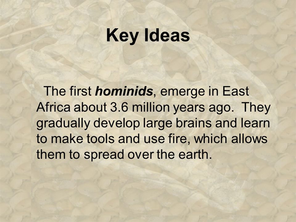 Key Ideas The first hominids, emerge in East Africa about 3.6 million years ago.