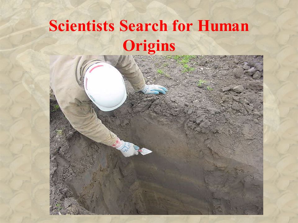 Scientists Search for Human Origins