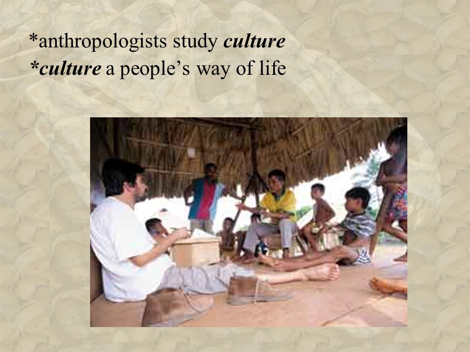 *anthropologists study culture *culture a people’s way of life