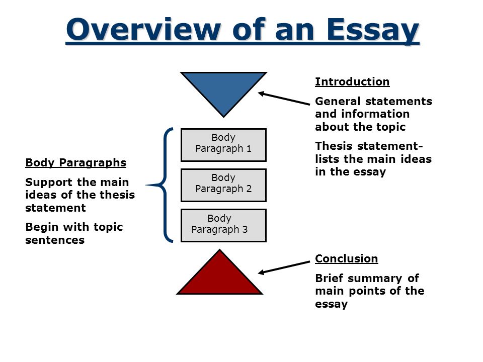 How Do You Structure An Essay