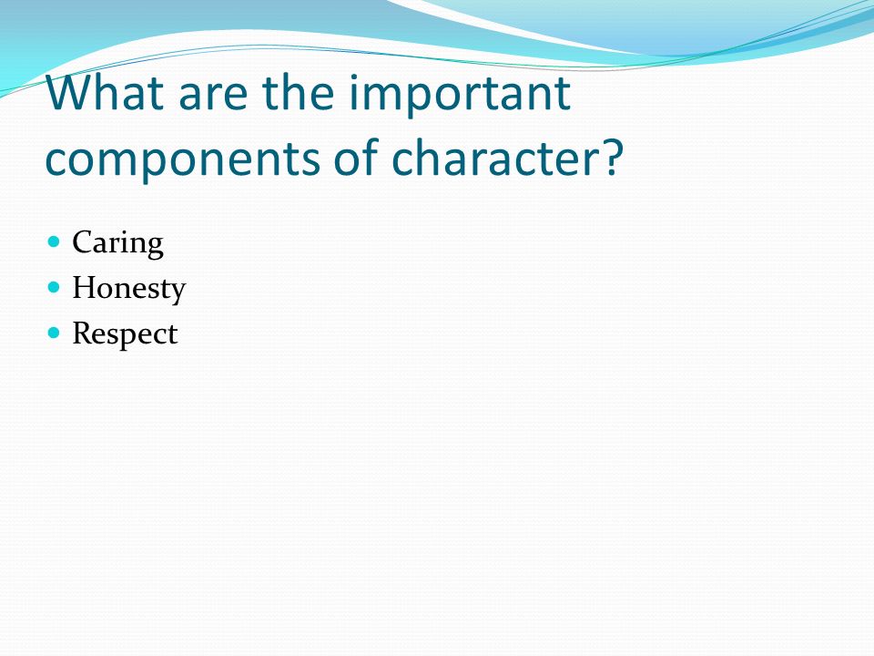 What are the important components of character Caring Honesty Respect