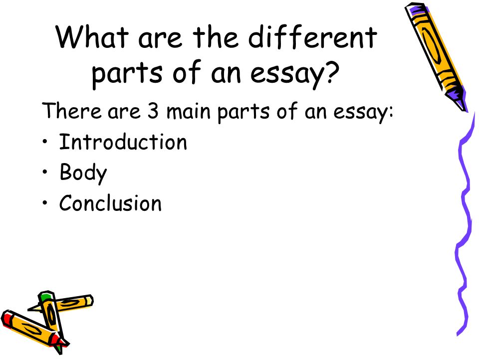 What Is A Essay