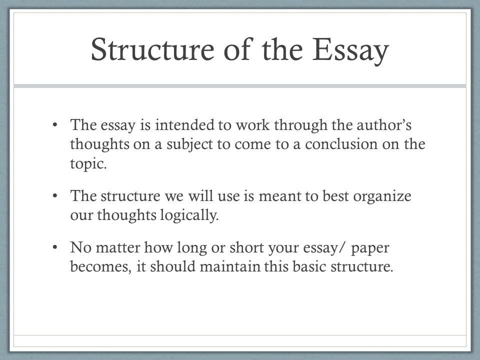 phd Essay Structure Vocabulary Buying Custom Essays Online - Writers Service | PaperChoice