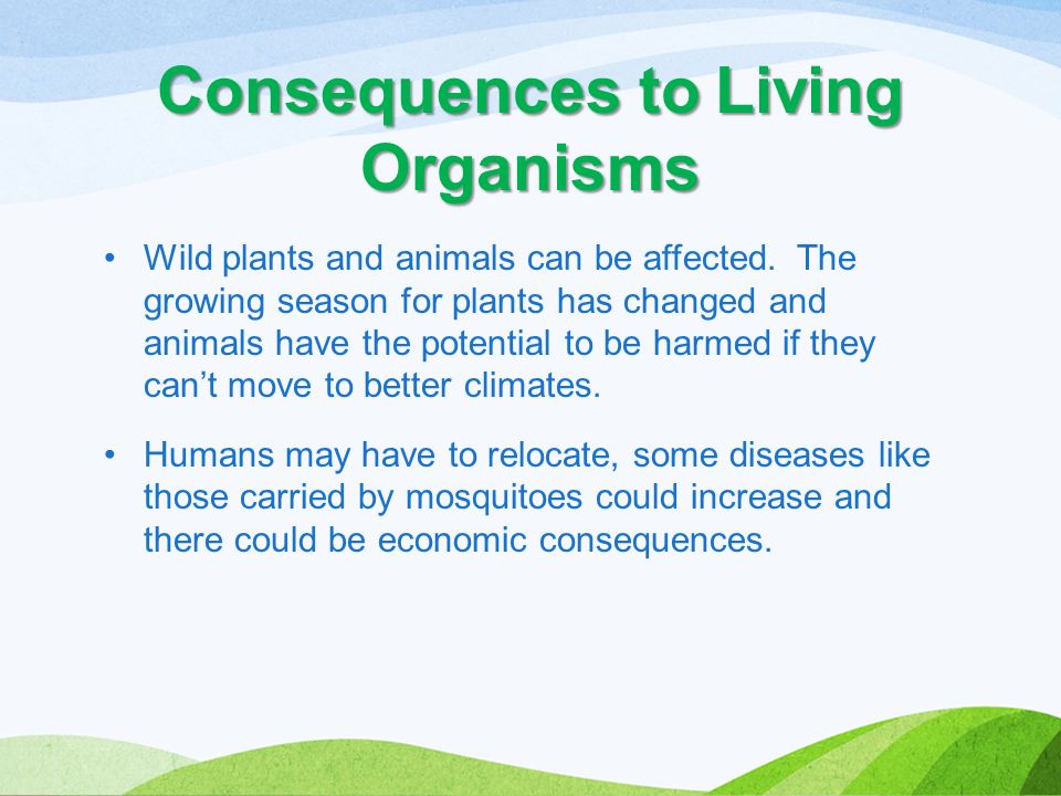 Wild plants and animals can be affected.