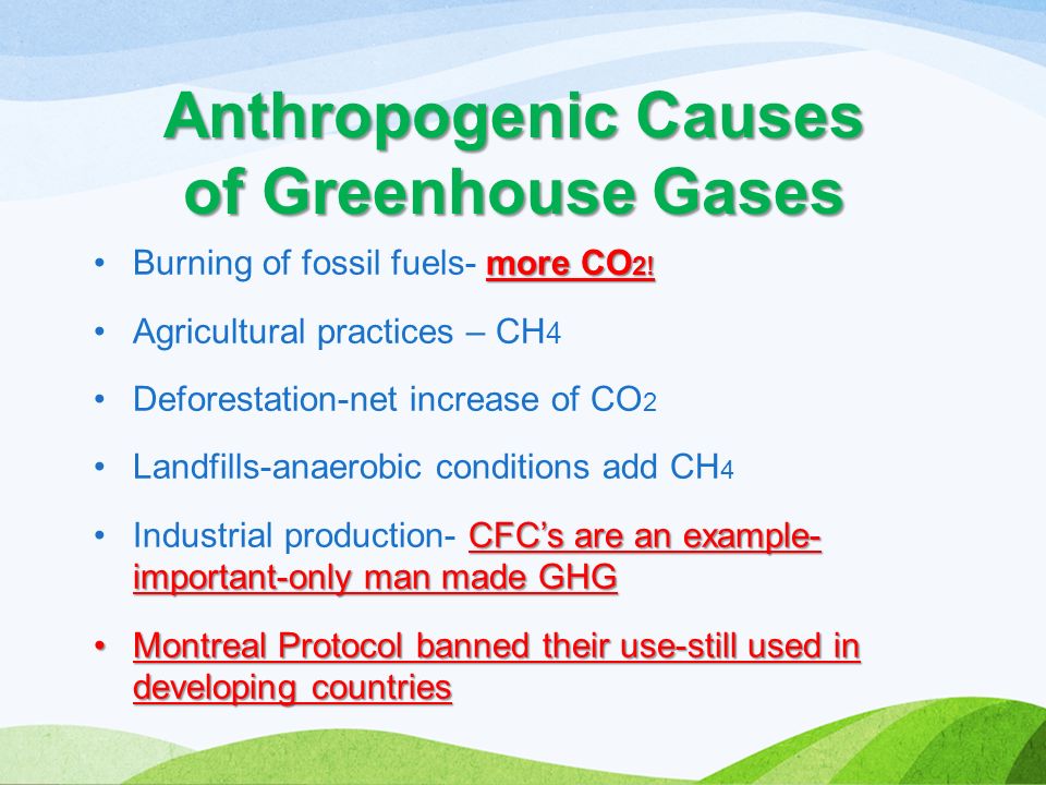 more CO 2!Burning of fossil fuels- more CO 2.