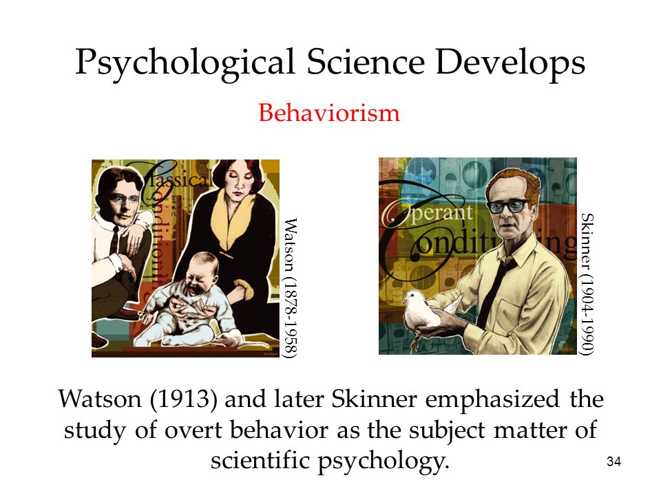 psychological perspective behaviorism Evolutionary psychology of emotions--4 the idea is that if the psychological reward mechanism is constrained to emphasize rewards in. psychological perspective behaviorism Evolutionary psychology of emotions--4 the idea is that if the psychological reward mechanism is constrained to emphasize rewards in.