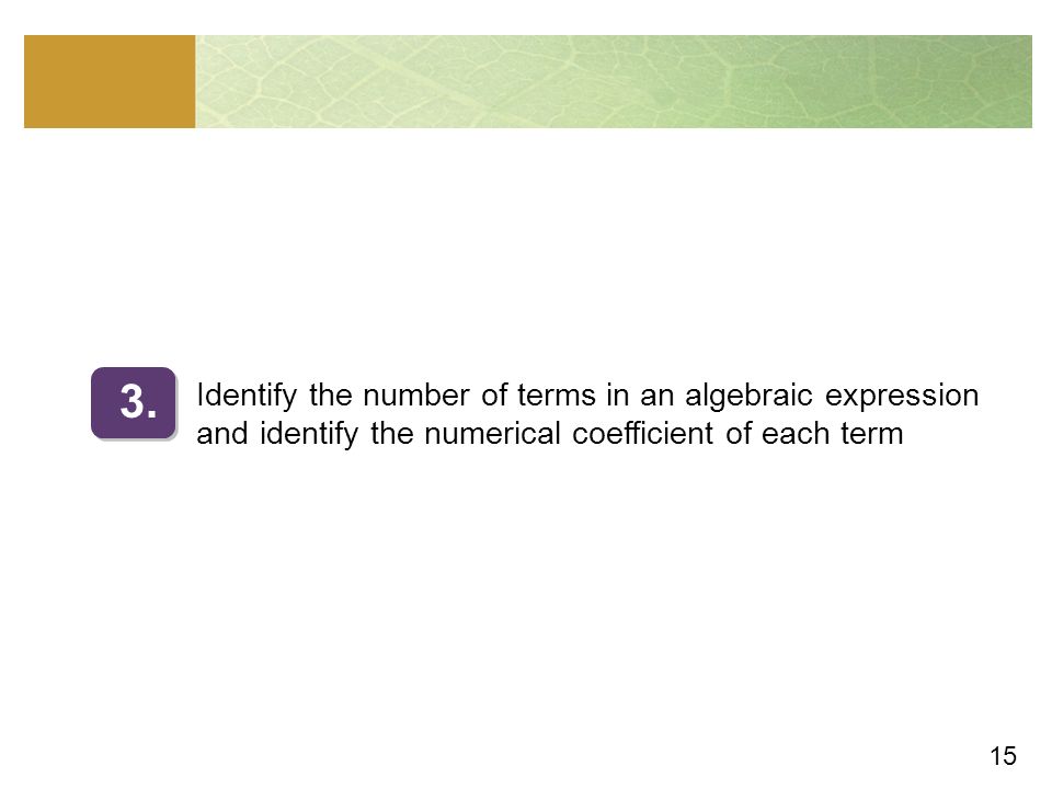 15 Identify the number of terms in an algebraic expression and identify the numerical coefficient of each term 3.