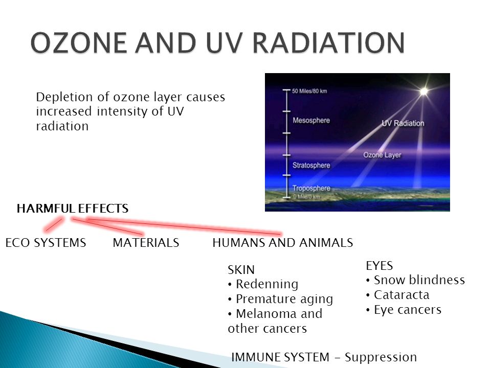 the theories on the ozone layers depletion Contrary to the popular belief, the ozone layer hole is not a hole, but a region wherein the ozone layer is severely depleted in this buzzle article, we will see how this depletion has occurred over the course of time. the theories on the ozone layers depletion Contrary to the popular belief, the ozone layer hole is not a hole, but a region wherein the ozone layer is severely depleted in this buzzle article, we will see how this depletion has occurred over the course of time.