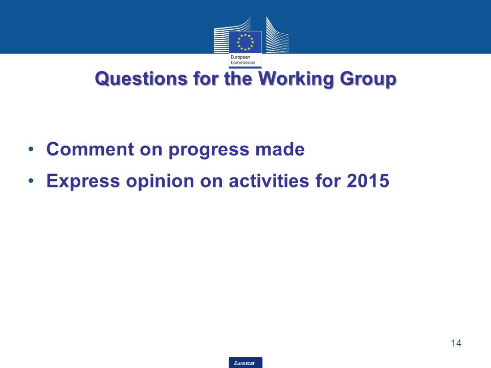 Eurostat Questions for the Working Group Comment on progress made Express opinion on activities for