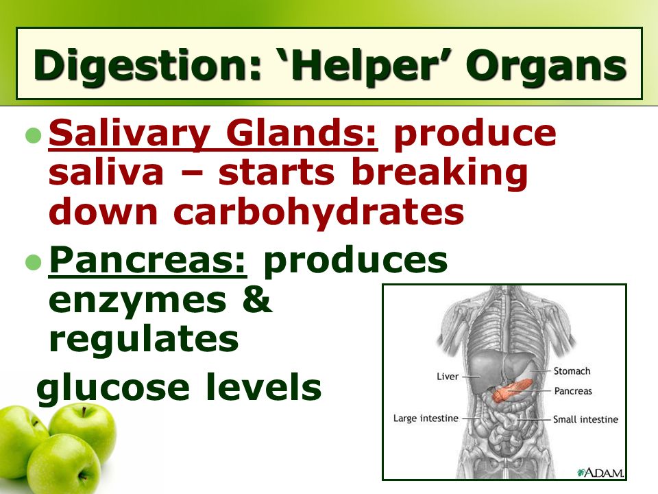 digestion of cheetos essay View essay - food label assignment and essay from nut 253 at the food product called cheetos crunchy is a food label assignment and essay - choose. digestion of cheetos essay View essay - food label assignment and essay from nut 253 at the food product called cheetos crunchy is a food label assignment and essay - choose.