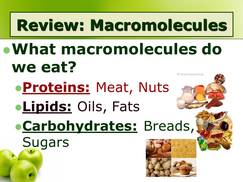 food macromolecules The four types of macromolecules are nucleic acids, proteins, carbohydrates and lipids these macromolecules are large molecules that make up. food macromolecules The four types of macromolecules are nucleic acids, proteins, carbohydrates and lipids these macromolecules are large molecules that make up.