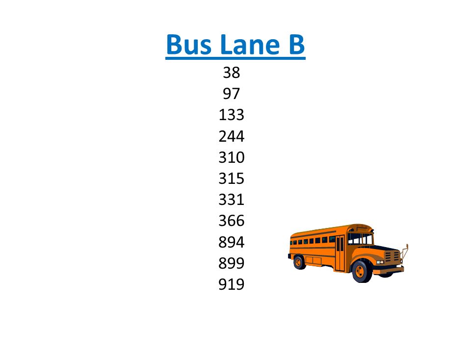 Bus Lane B