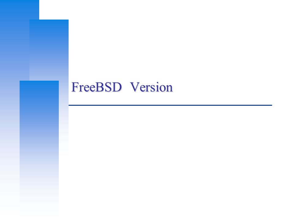FreeBSD Version