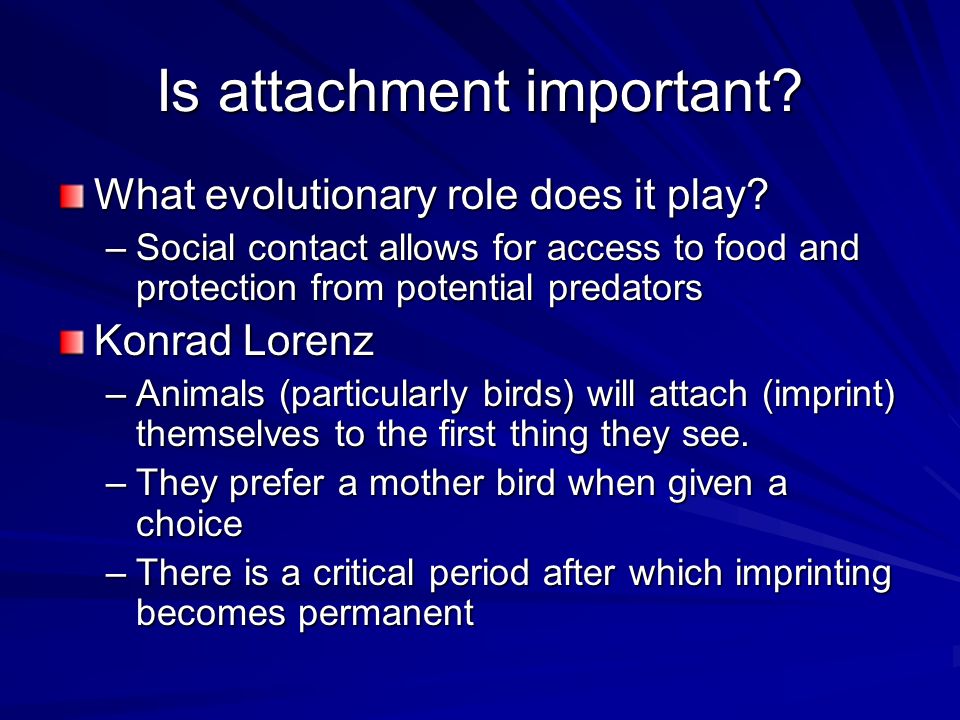 Is attachment important. What evolutionary role does it play.