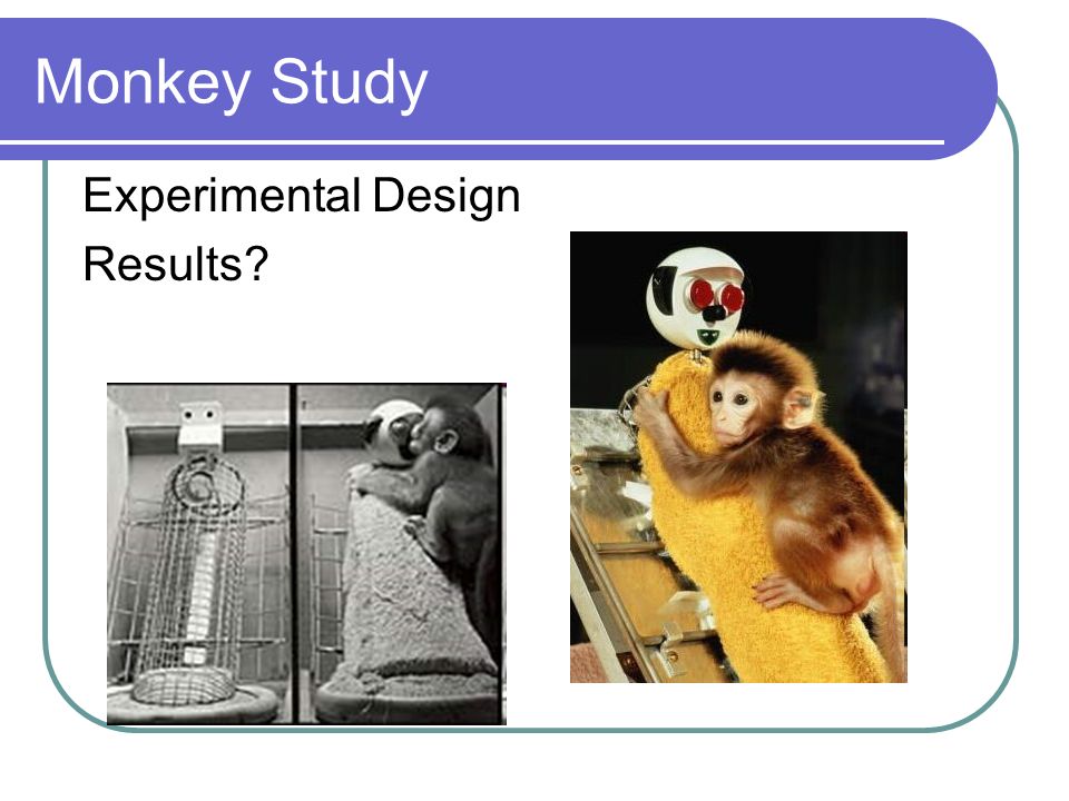 Monkey Study Experimental Design Results
