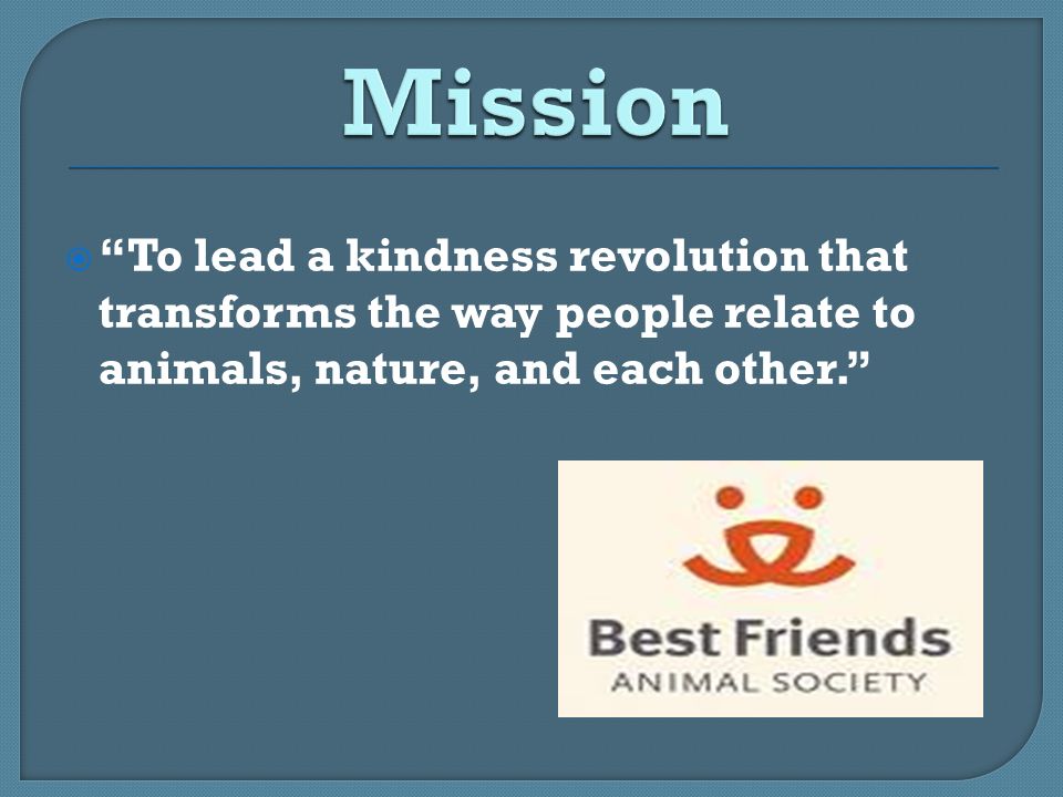  To lead a kindness revolution that transforms the way people relate to animals, nature, and each other.