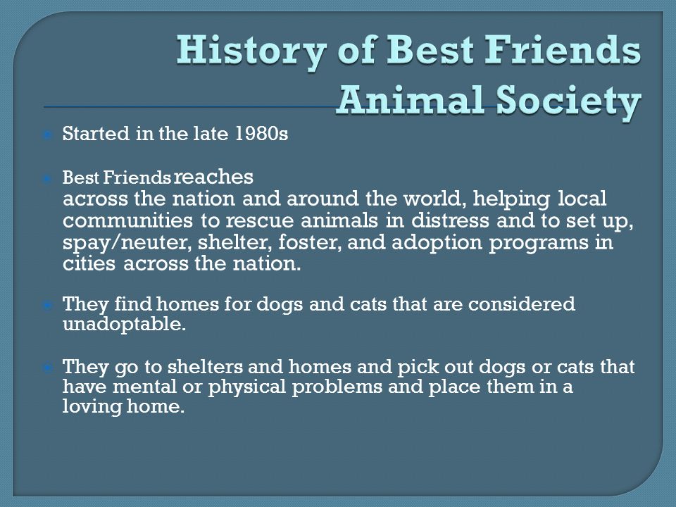  Started in the late 1980s  Best Friends reaches across the nation and around the world, helping local communities to rescue animals in distress and to set up, spay/neuter, shelter, foster, and adoption programs in cities across the nation.