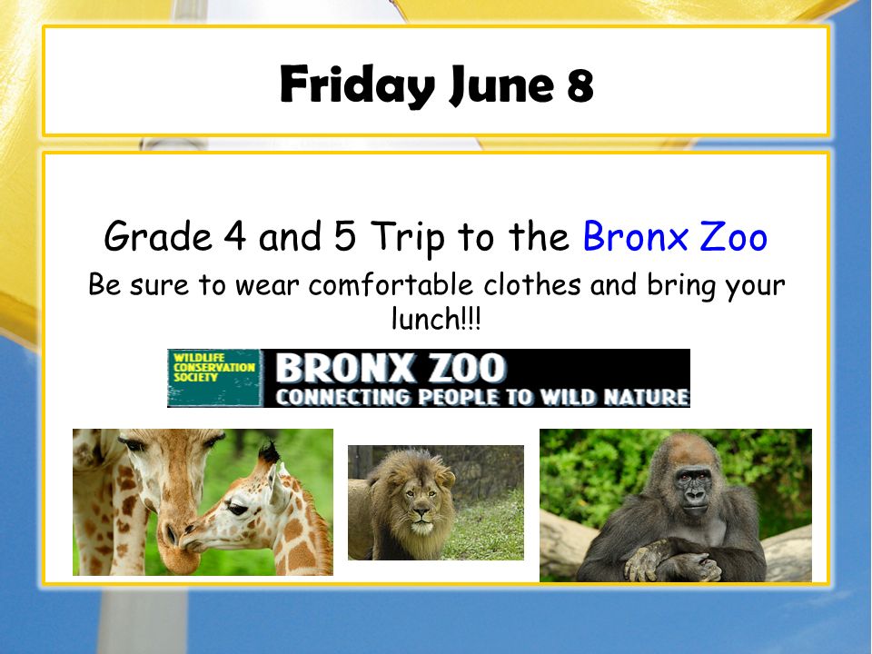 Friday June 8 Grade 4 and 5 Trip to the Bronx Zoo Be sure to wear comfortable clothes and bring your lunch!!!