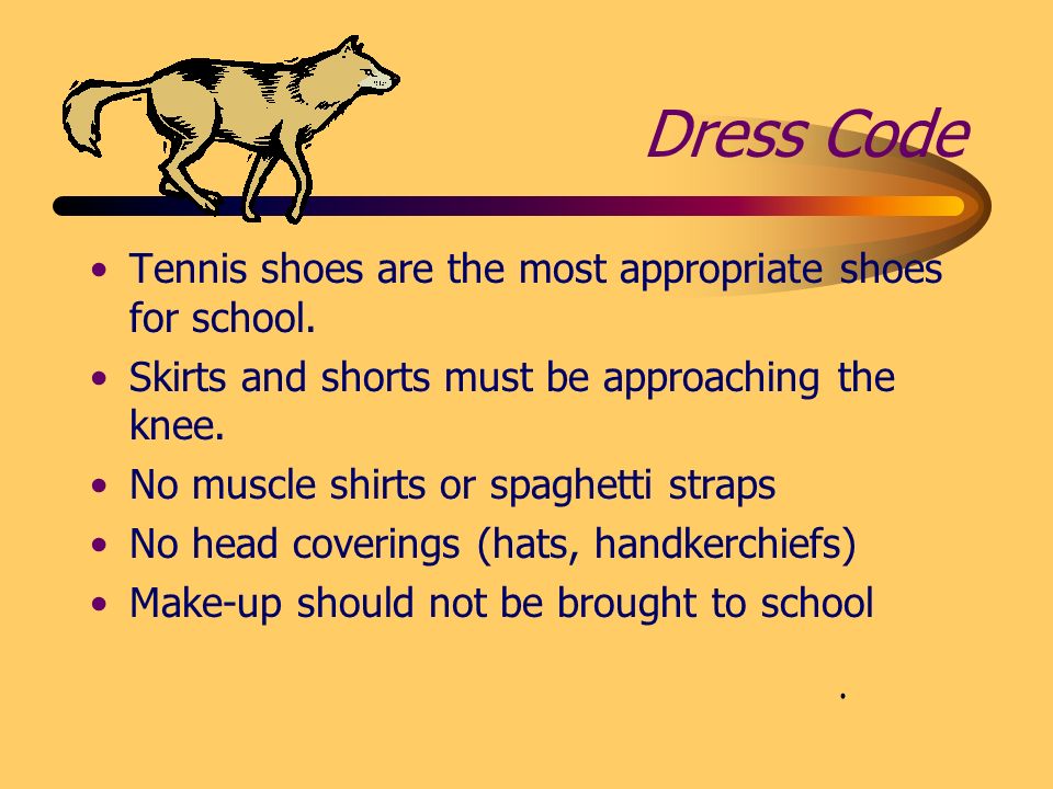 Dress Code Tennis shoes are the most appropriate shoes for school.