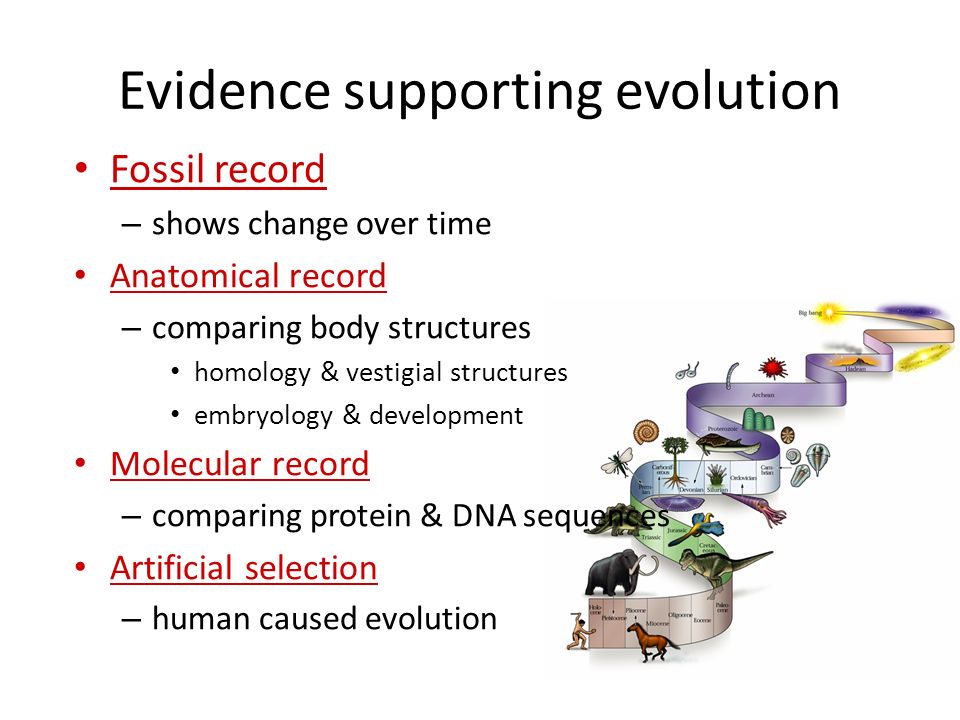 causes of evolution causes of evolution