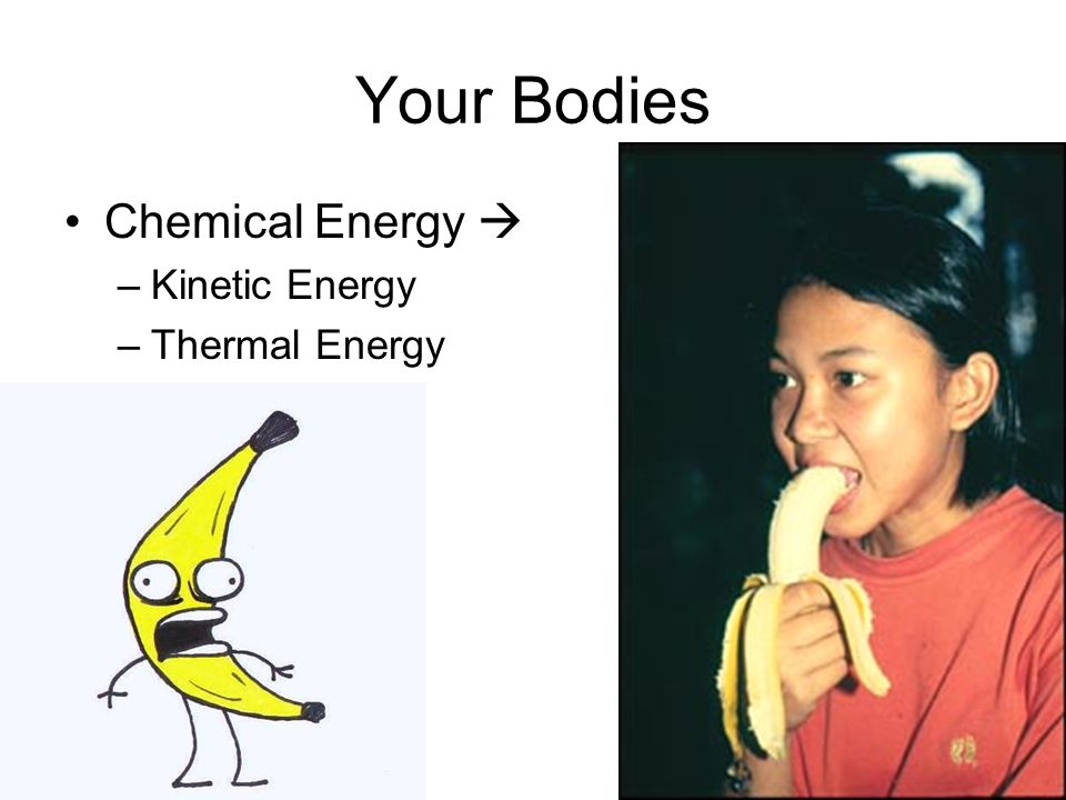Your Bodies Chemical Energy  –Kinetic Energy –Thermal Energy