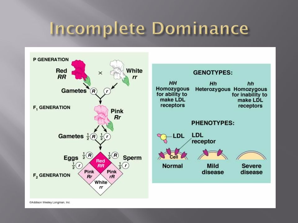 Incomplete Dominance Codominance Multiple Alleles And Sex Linked