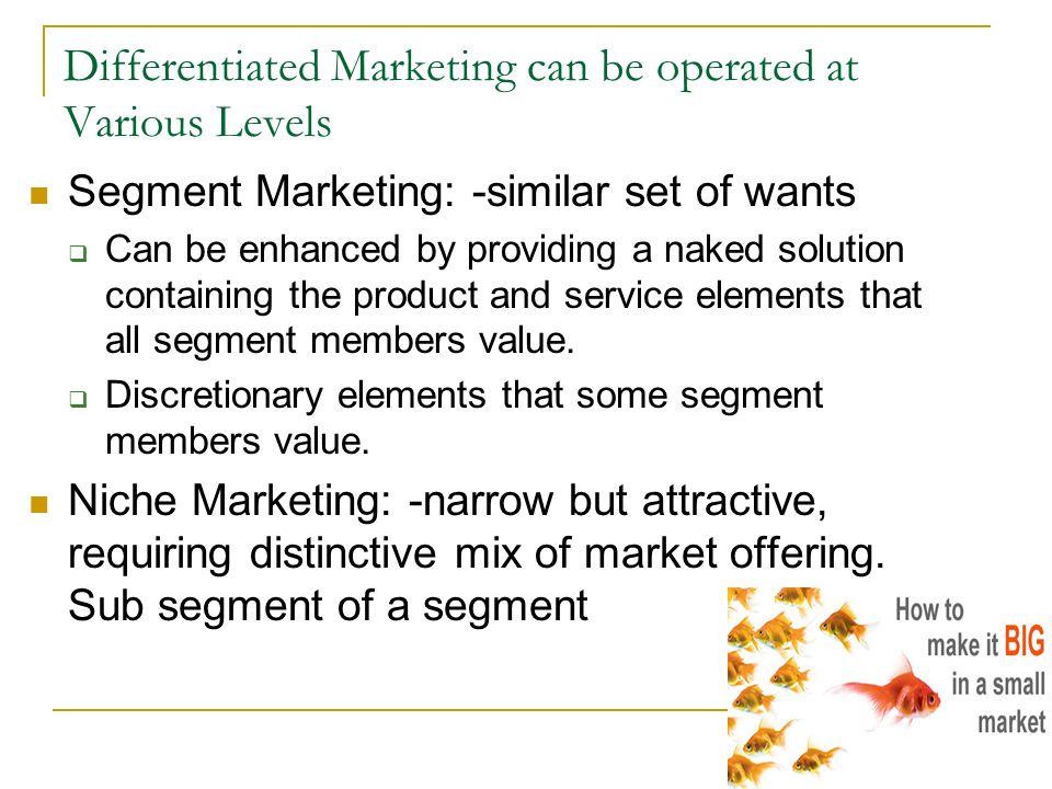 Buy essay online cheap segmentation targeting and positioningsegmentation targeting and