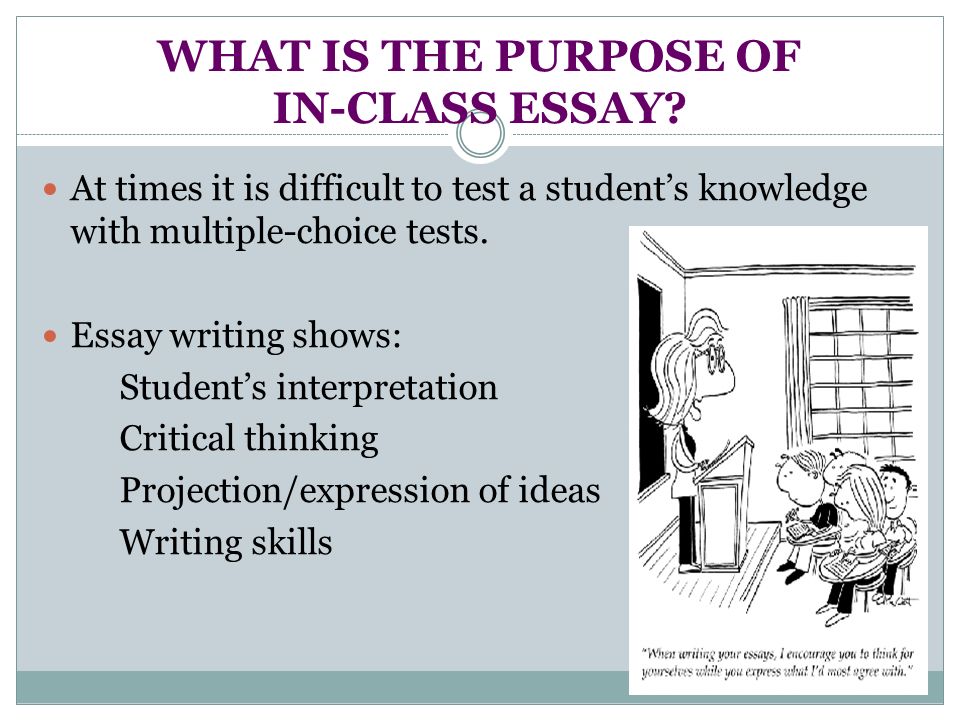 Multi purpose essay