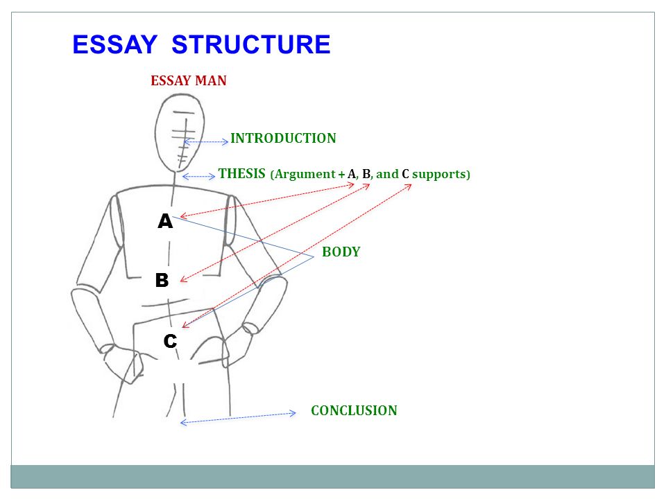 argument essay structure