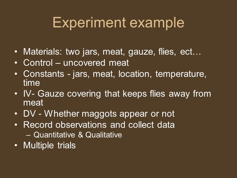 Experiment example Materials: two jars, meat, gauze, flies, ect… Control – uncovered meat Constants - jars, meat, location, temperature, time IV- Gauze covering that keeps flies away from meat DV - Whether maggots appear or not Record observations and collect data –Quantitative & Qualitative Multiple trials