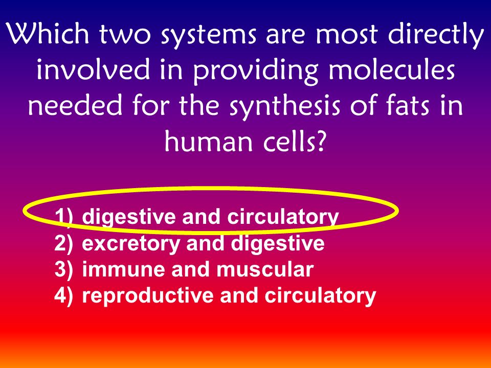 Which two systems are most directly involved in providing molecules needed for the synthesis of fats in human cells.