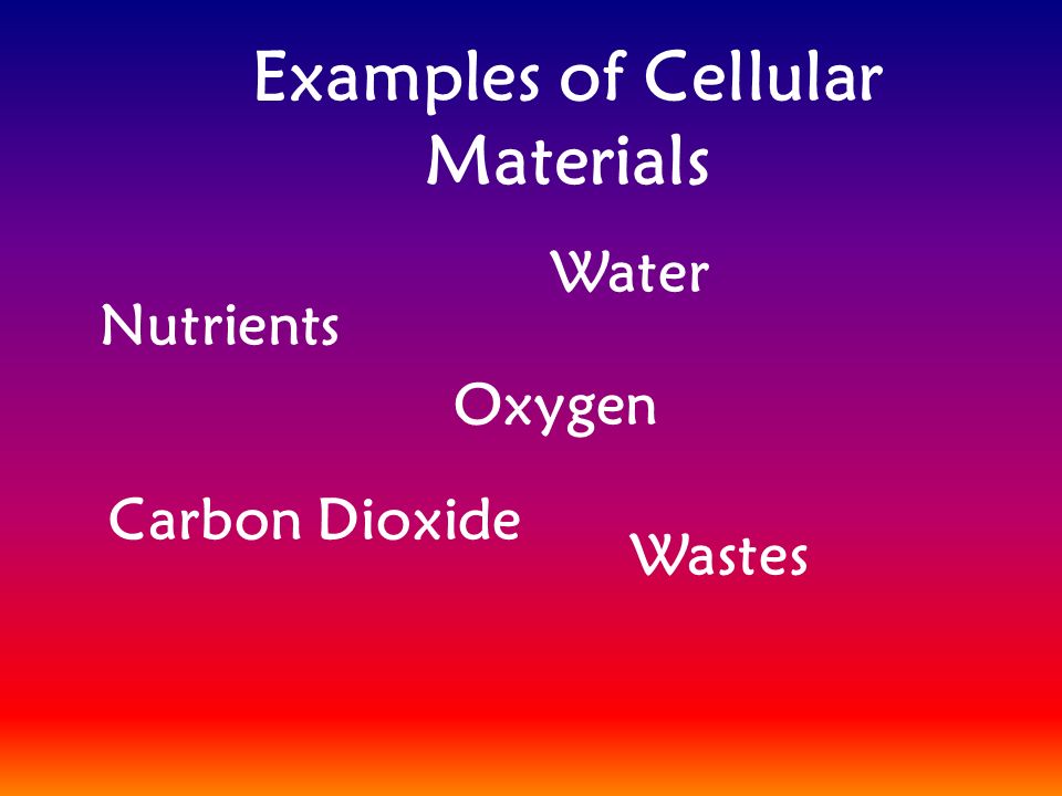 Examples of Cellular Materials Nutrients Water Oxygen Carbon Dioxide Wastes