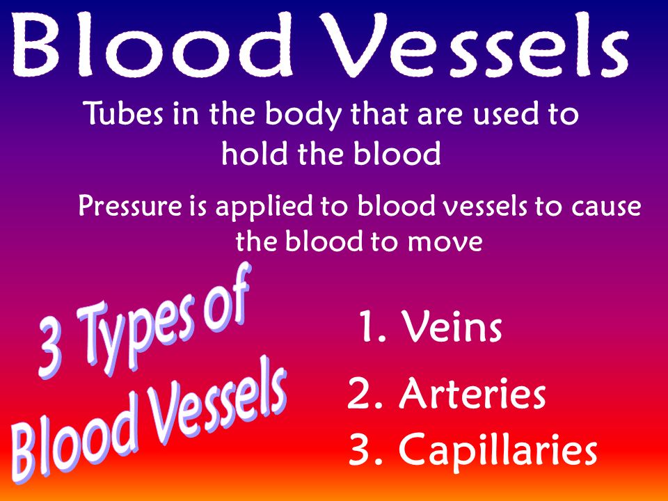 Tubes in the body that are used to hold the blood Pressure is applied to blood vessels to cause the blood to move 1.