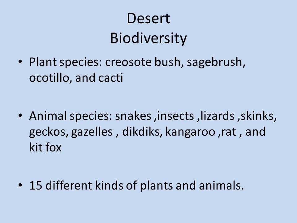 Desert Biodiversity Plant species: creosote bush, sagebrush, ocotillo, and cacti Animal species: snakes,insects,lizards,skinks, geckos, gazelles, dikdiks, kangaroo,rat, and kit fox 15 different kinds of plants and animals.
