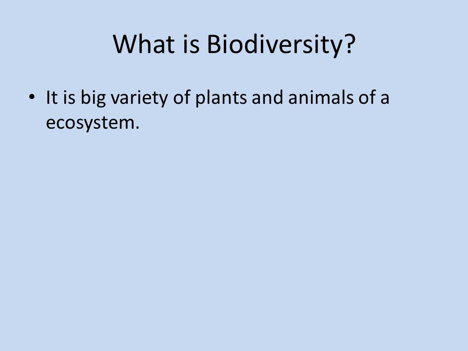 What is Biodiversity It is big variety of plants and animals of a ecosystem.