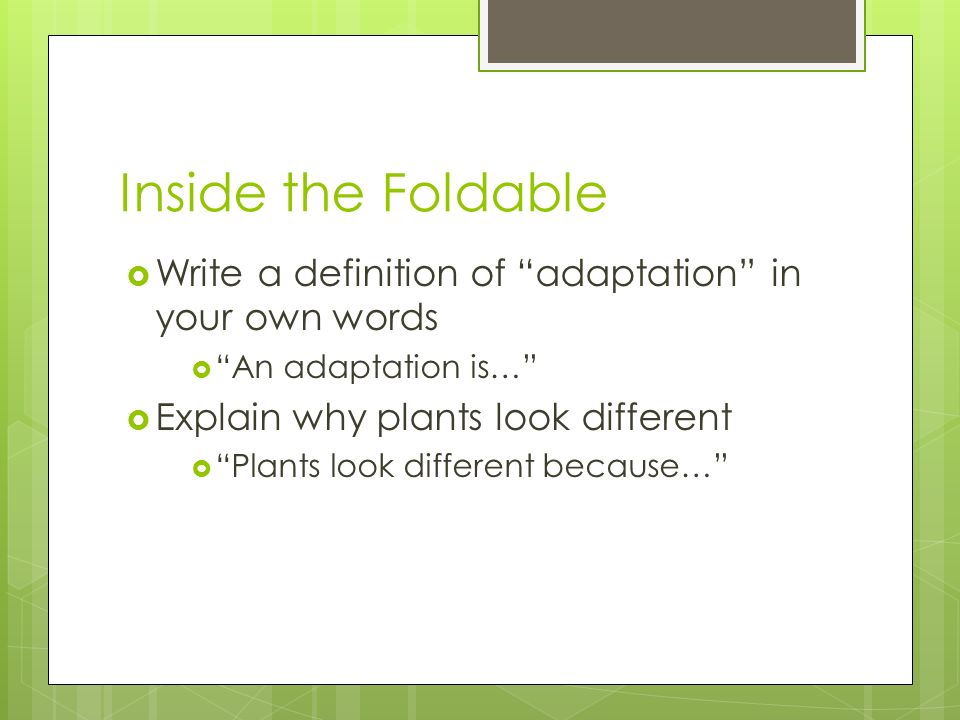 Inside the Foldable  Write a definition of adaptation in your own words  An adaptation is…  Explain why plants look different  Plants look different because…