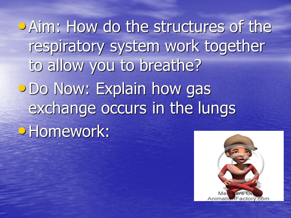 Aim: How do the structures of the respiratory system work together to allow you to breathe.