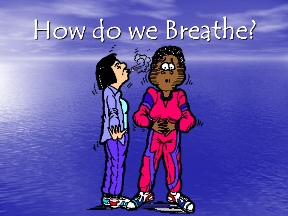 How do we Breathe