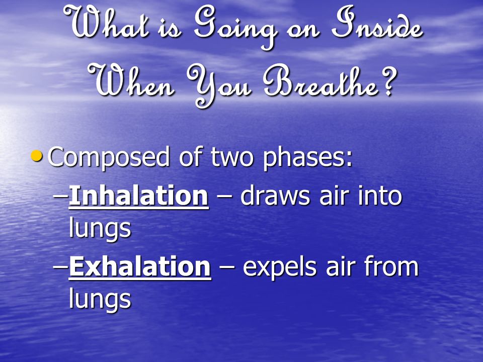 What is Going on Inside When You Breathe.