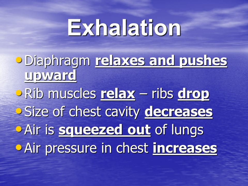 Exhalation Diaphragm relaxes and pushes upward Diaphragm relaxes and pushes upward Rib muscles relax – ribs drop Rib muscles relax – ribs drop Size of chest cavity decreases Size of chest cavity decreases Air is squeezed out of lungs Air is squeezed out of lungs Air pressure in chest increases Air pressure in chest increases