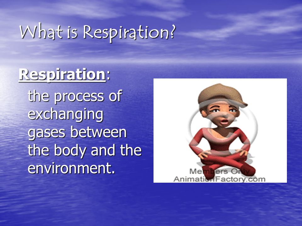 What is Respiration.