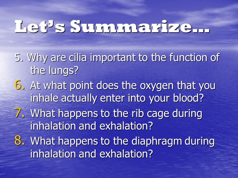 Let’s Summarize… 5. Why are cilia important to the function of the lungs.